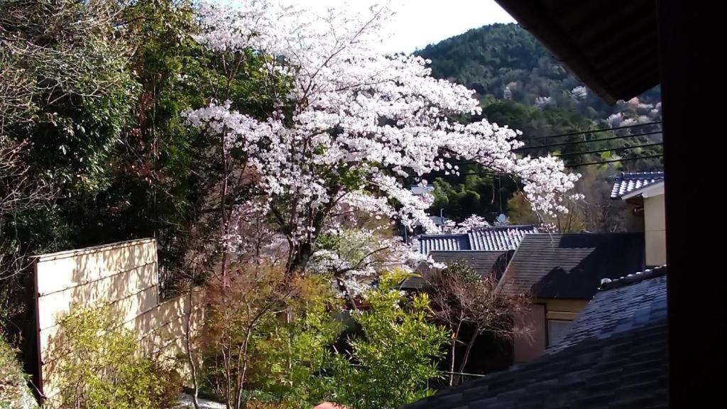 金閣荘 Quioto Exterior foto